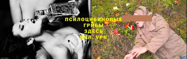 spice Каменка
