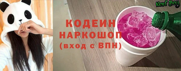 индика Каменск-Шахтинский