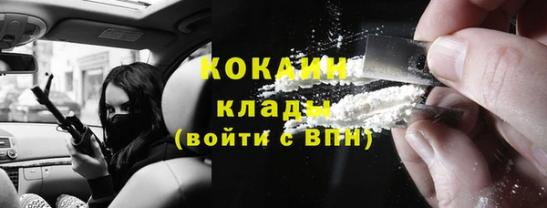 индика Каменск-Шахтинский