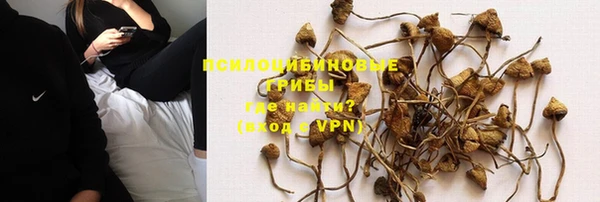 индика Каменск-Шахтинский