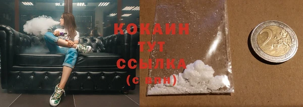 spice Каменка