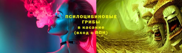 индика Каменск-Шахтинский