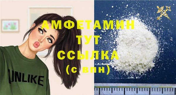 индика Каменск-Шахтинский