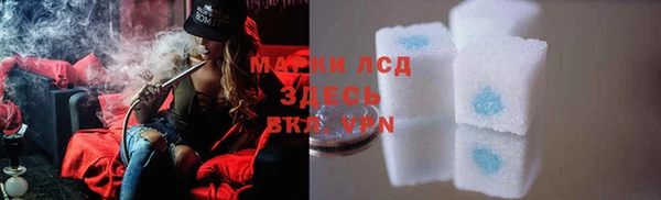 spice Каменка