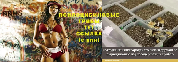 прущая мука Каменногорск