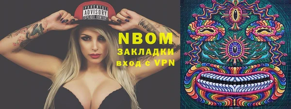 индика Каменск-Шахтинский