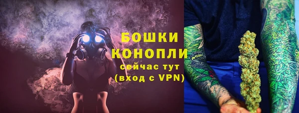 индика Каменск-Шахтинский