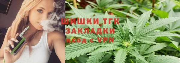 индика Каменск-Шахтинский