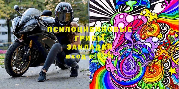 spice Каменка