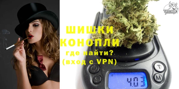 spice Каменка