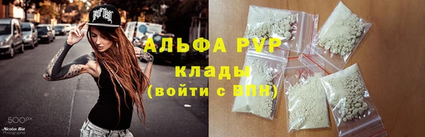 spice Каменка
