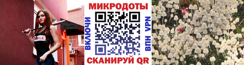 Купить где  Смоленск  Галлюциногенные грибы Psilocybe 